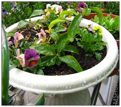 Ϊ�˿�������������û��ȥͼƬ����Ĳ���