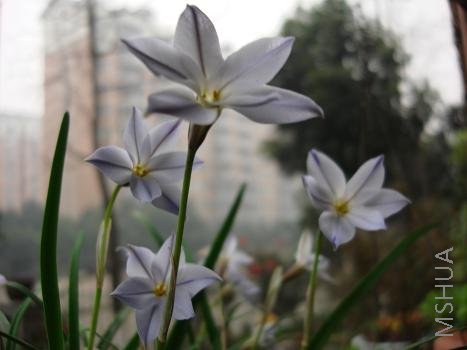 �峿�Ļ���