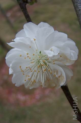 ������С 080322 088.jpg