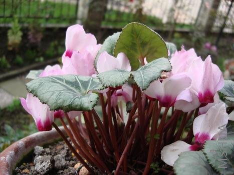 ���˽������΢���ɿ�������Խ��Խ��