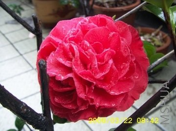 DCAM0084.JPG