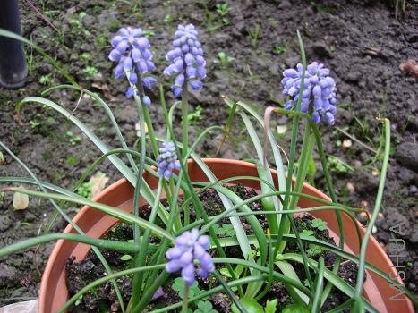 ���ò�̫�õ����ѷ�����