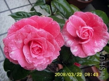 DCAM0087.JPG