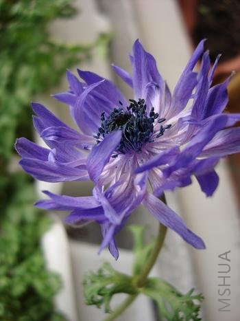 ��仨����̬����̫����