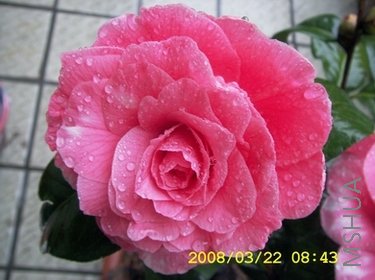 DCAM0086.JPG