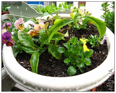 �����ĺ��˰��������������ԵĽ�������������