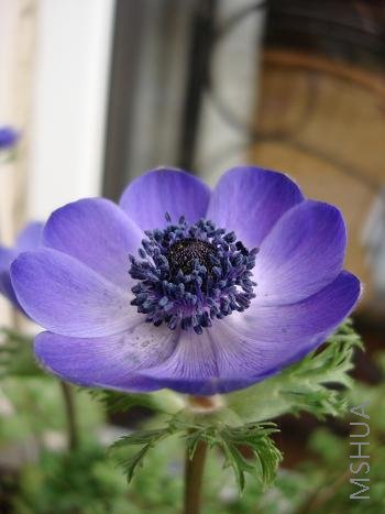 ���̫�й��о���