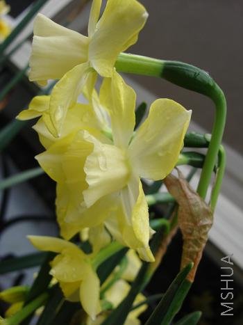 �Ե����£��������ǲ��Ƥ̫�ѿ�