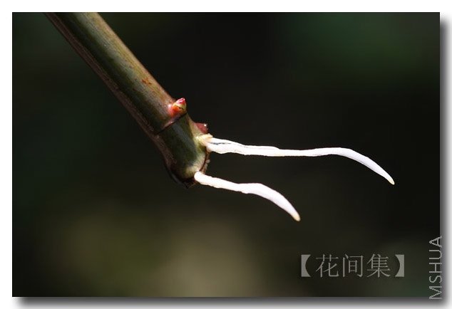 IMG_4321 ����.jpg