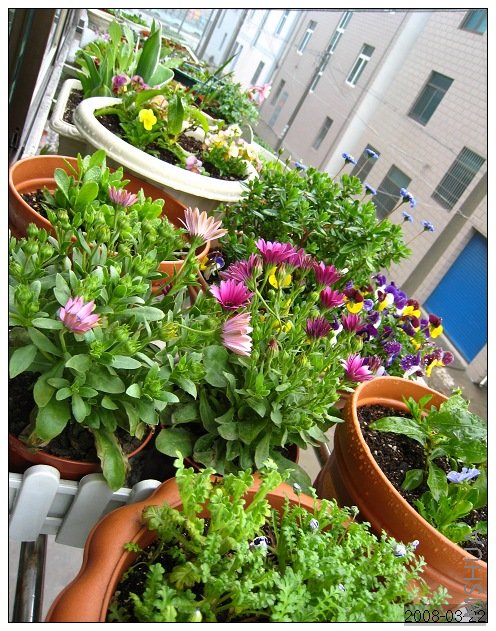 ���˼����ֳɵ����Ե�׺һ�¡�