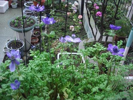 ����һ�㲣������Ƭ��û����ô����