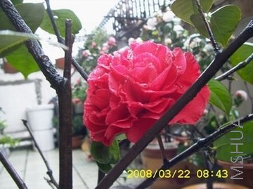 DCAM0085.JPG