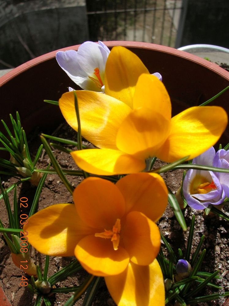 DSCN9543.JPG