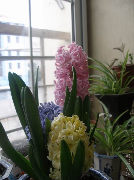 ��ת ��Ƭ 009.jpg