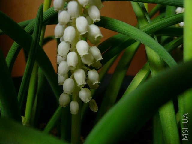 �ս��ţ��������޵���