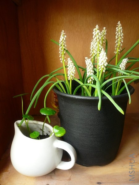 ���Ѻ�ǮǮ��Ӱ