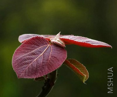 20070906.jpg