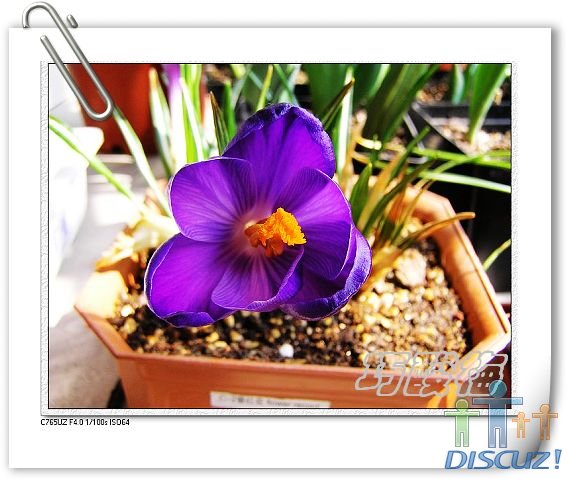 ��Ƭ1 099_nEO_IMG.jpg