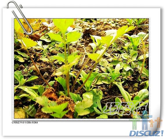 ��Ƭ1 005_nEO_IMG.jpg