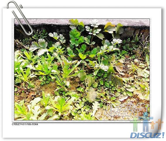 ��Ƭ1 004_nEO_IMG.jpg