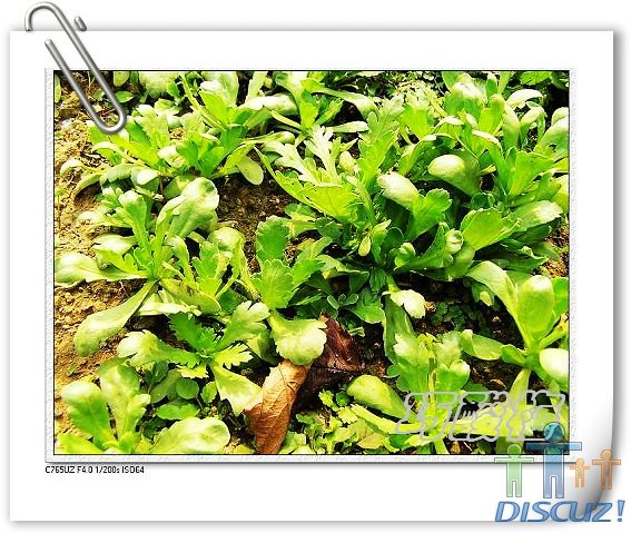 ��Ƭ1 001_nEO_IMG.jpg