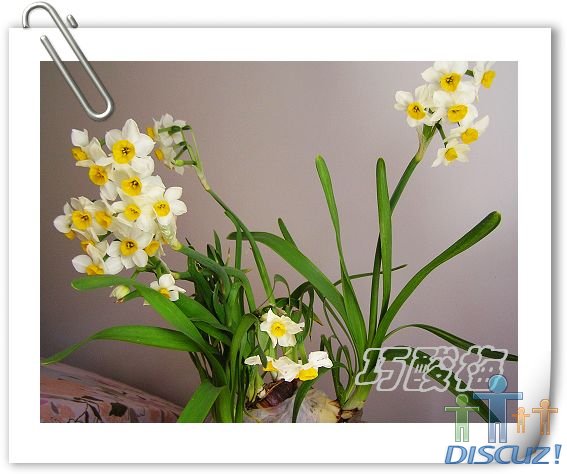 ��Ƭ1 107.jpg