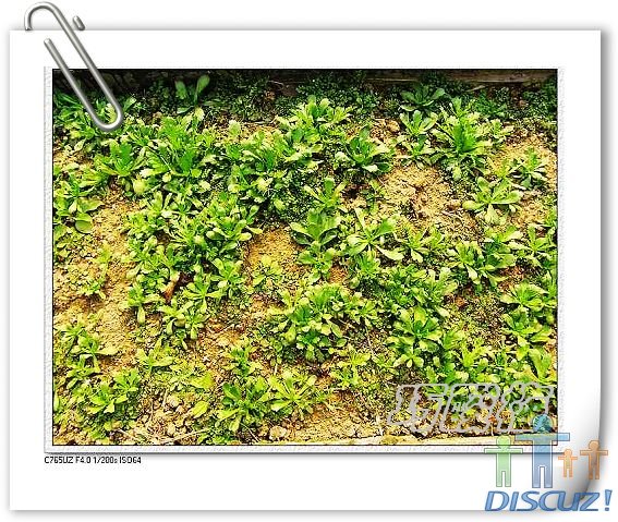 ��Ƭ1 002_nEO_IMG.jpg