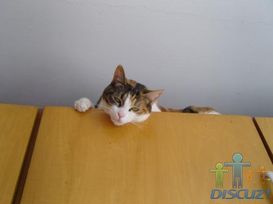 ���־�������