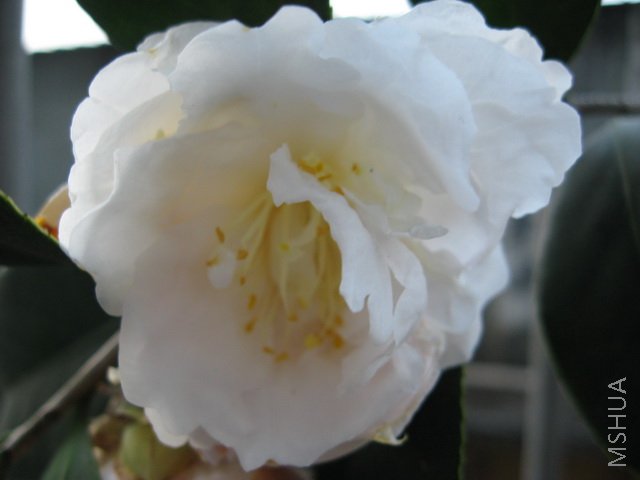 ��Ƭ 055a.jpg