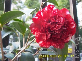 DCAM0171.JPG
