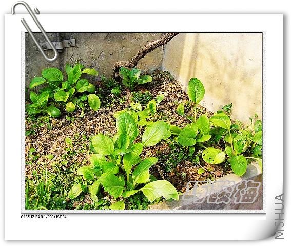 ��Ƭ1 016_nEO_IMG.jpg