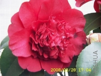 DCAM0001.JPG