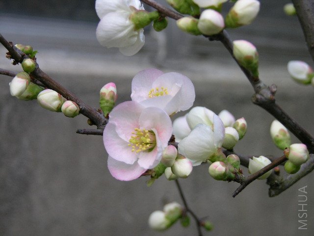DSCN1783.JPG