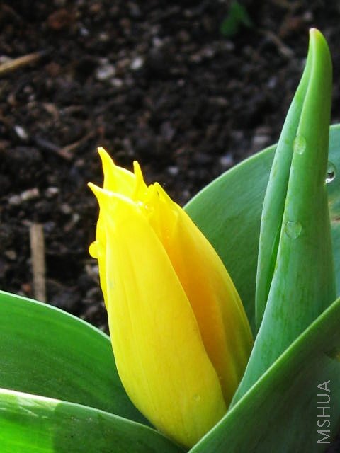 IMG_1055.JPG