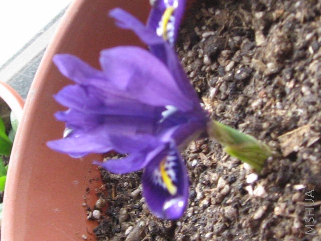 Ψһһ��ʢ���ľ�Ȼ�Ǻ���,��......