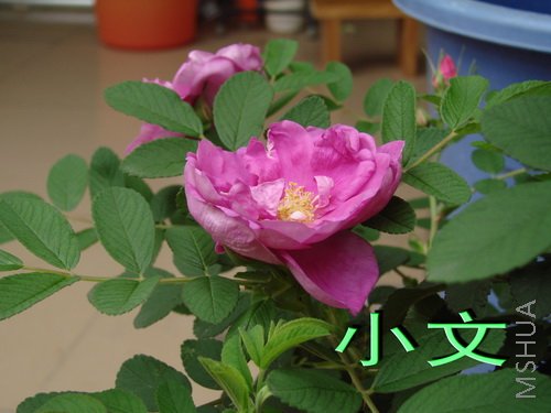 �½� ACDSee 9.0 BMP ͼ��.jpg