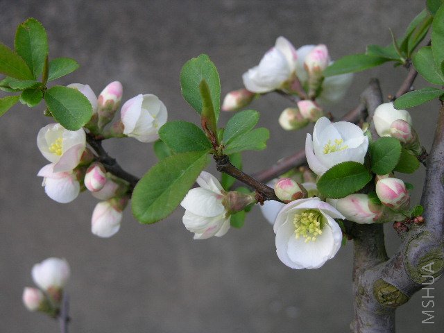DSCN1788.JPG