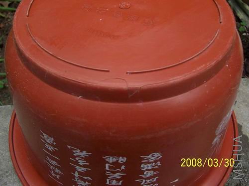 ������Ƭ