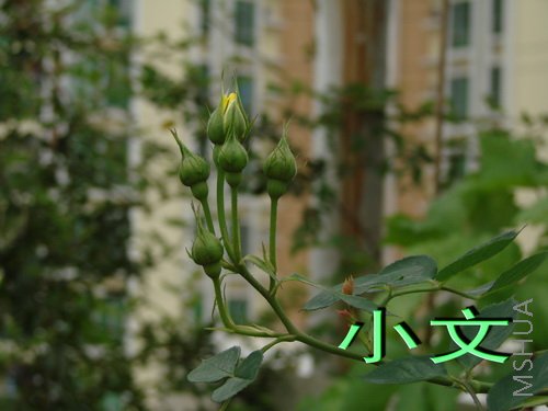 �½� ACDSee 9.0 BMP ͼ��.jpg