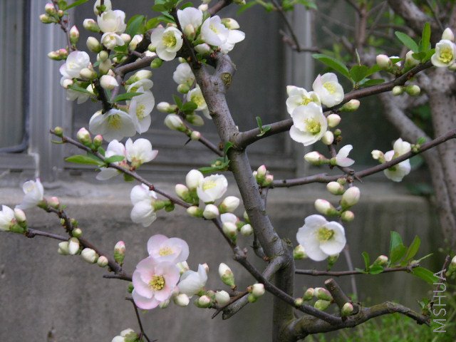 DSCN1790.JPG