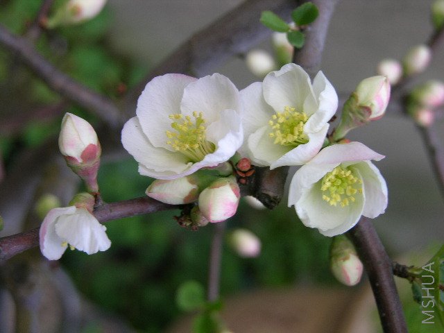 DSCN1787.JPG