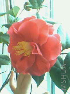 IMG0051A.jpg