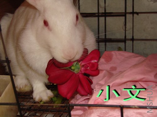 �½� ACDSee 9.0 BMP ͼ��.jpg