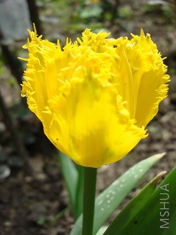 ���ݵĻ�������������������Ů��