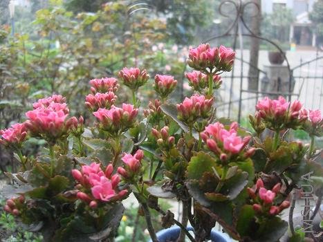 ���Ų����ĵĳ��ٻ���һ�����ʸ�