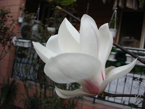 �õ��Ŵ����߹�İ�����