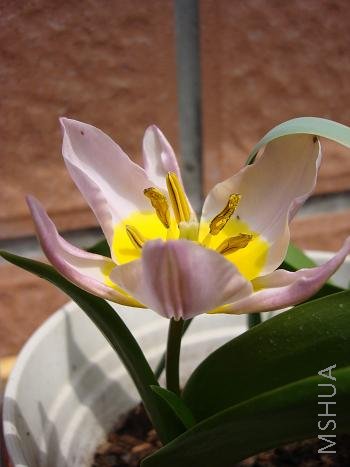 û���ִ�������������������һ������