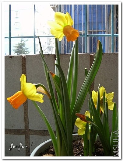 20080351.jpg