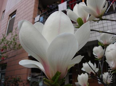 ��ʱ���˲����ȥ��