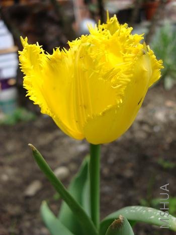 �ƻ�������